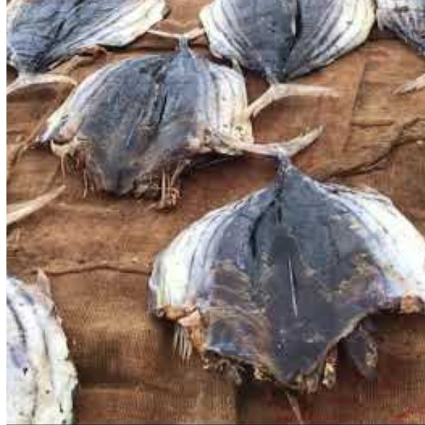 Balaya dry fish"