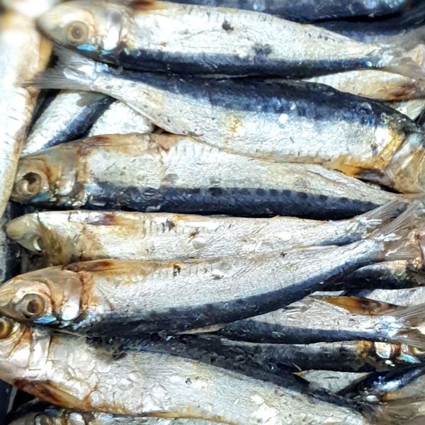 keeramin dry fish (250g) කිරම්න් කරවල"