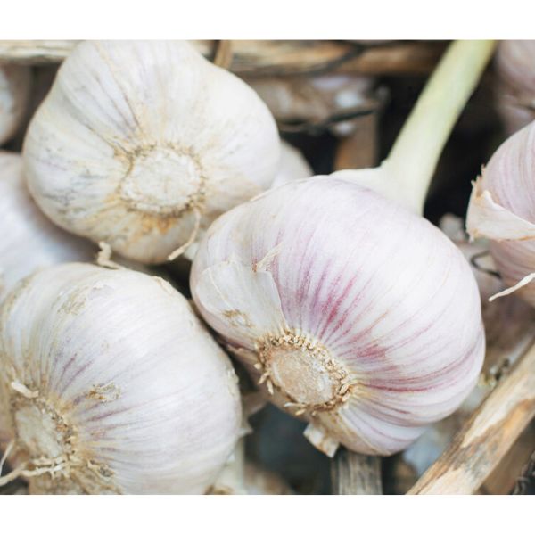 Garlic( 500g ) සුදු ලුණු"